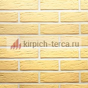 Кирпич керамический пустотелый Terca® SAFARI риф 250*85*65